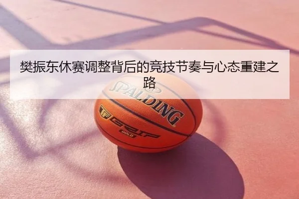 樊振东休赛调整背后的竞技节奏与心态重建之路